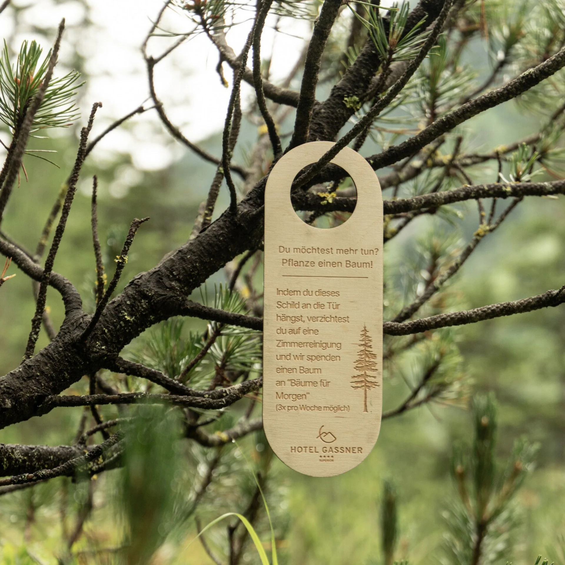 Unsere Werte Holzschild vom Hotel Gassner hängt an einem Baumzweig mit Umwelthinweis