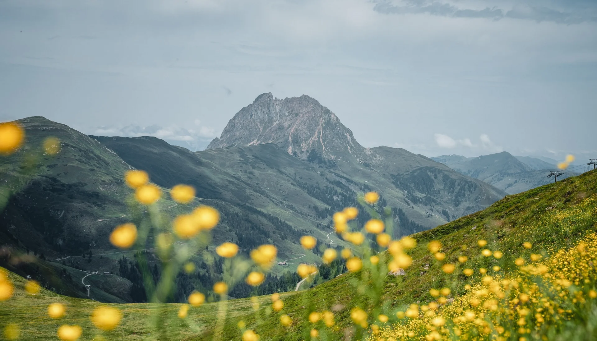 Tourentipps Berglandschaft mit gelben Blumenwiesen und markantem Gipfel im Hintergrund