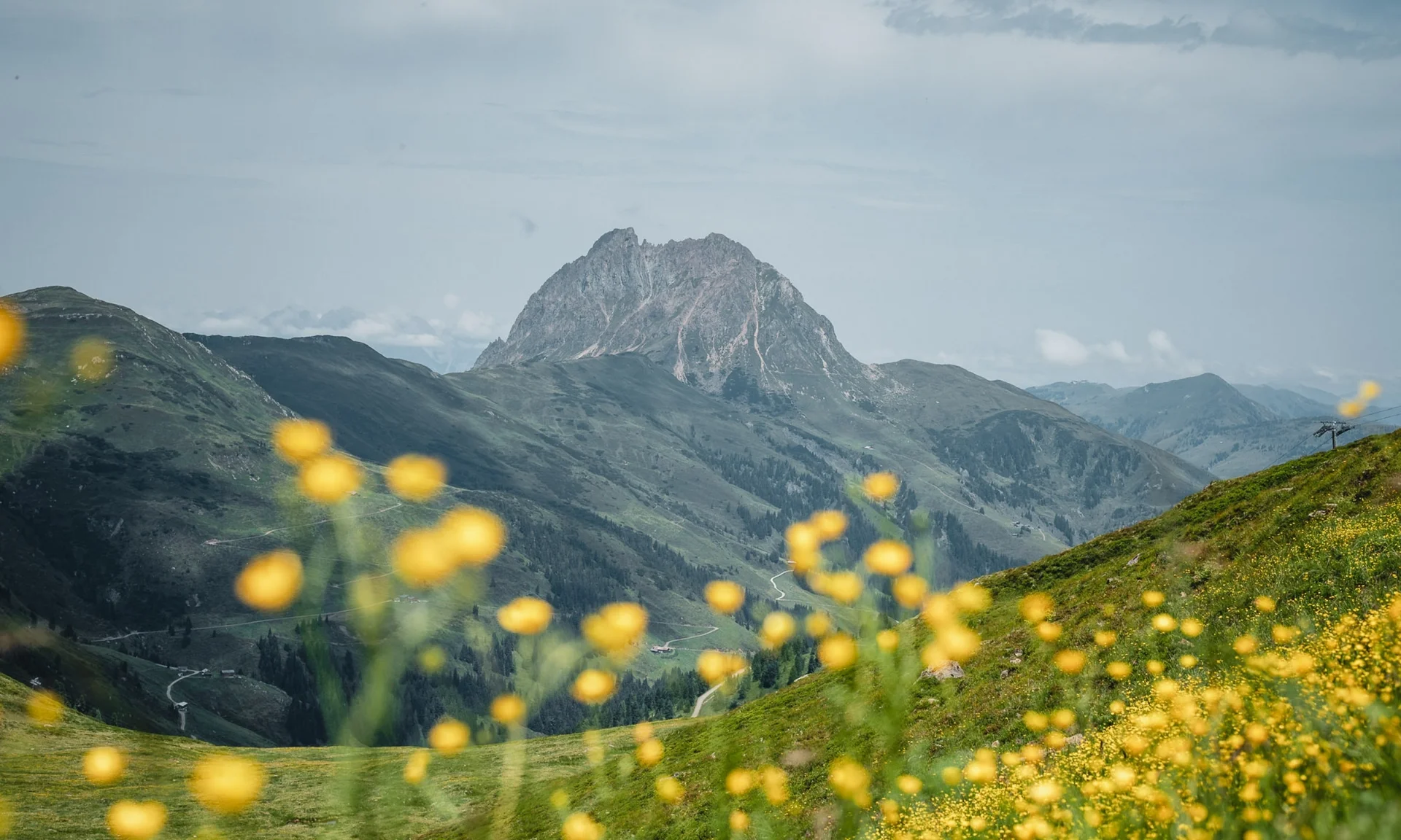 Wanderhotel Berglandschaft mit gelben Blumenwiesen und markantem Gipfel im Hintergrund