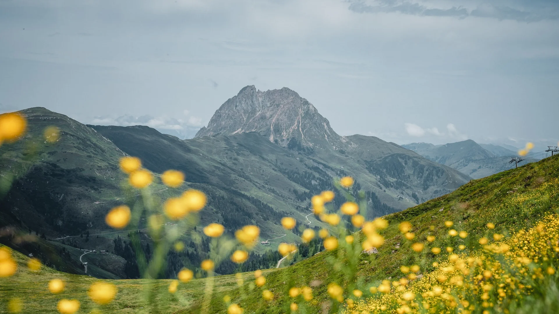 Benefits im Hotel Berglandschaft mit gelben Blumenwiesen und markantem Gipfel im Hintergrund
