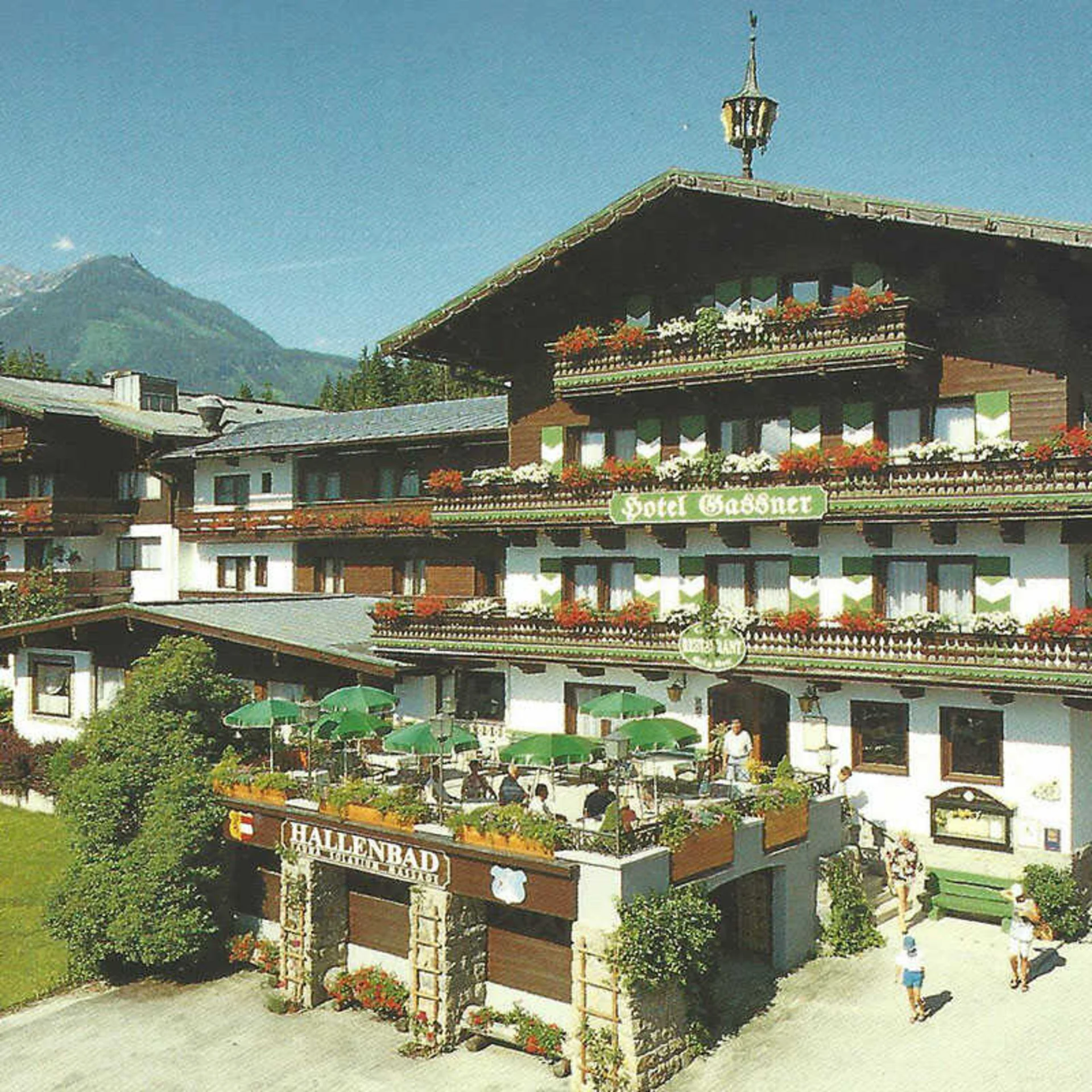 Das Hotel Hotel Gaßner Alpenhotel mit Balkonblumen und Bergkulisse