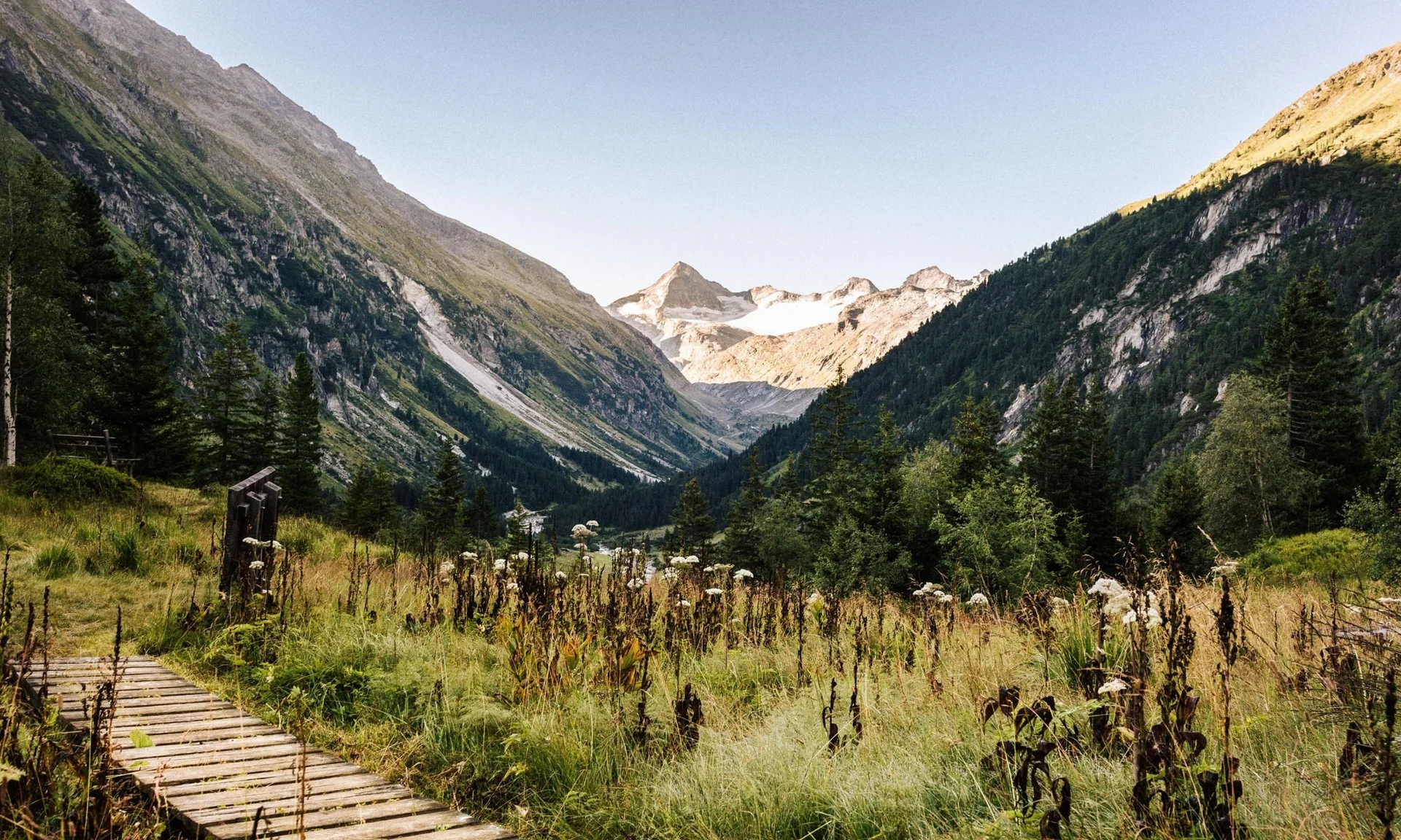 Wanderhotel Bergtal mit blühender Wiese und schneebedeckten Gipfeln im Hintergrund