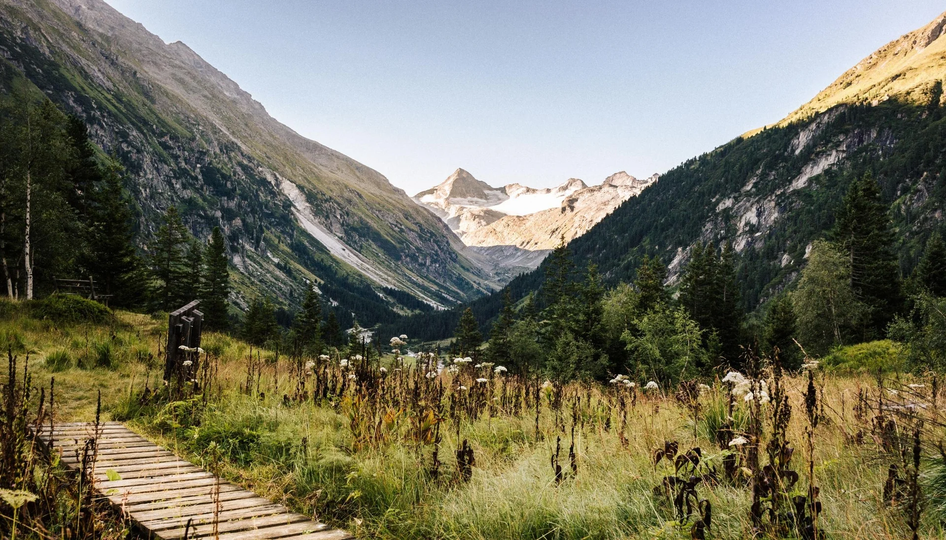 Tourentipps Bergtal mit blühender Wiese und schneebedeckten Gipfeln im Hintergrund