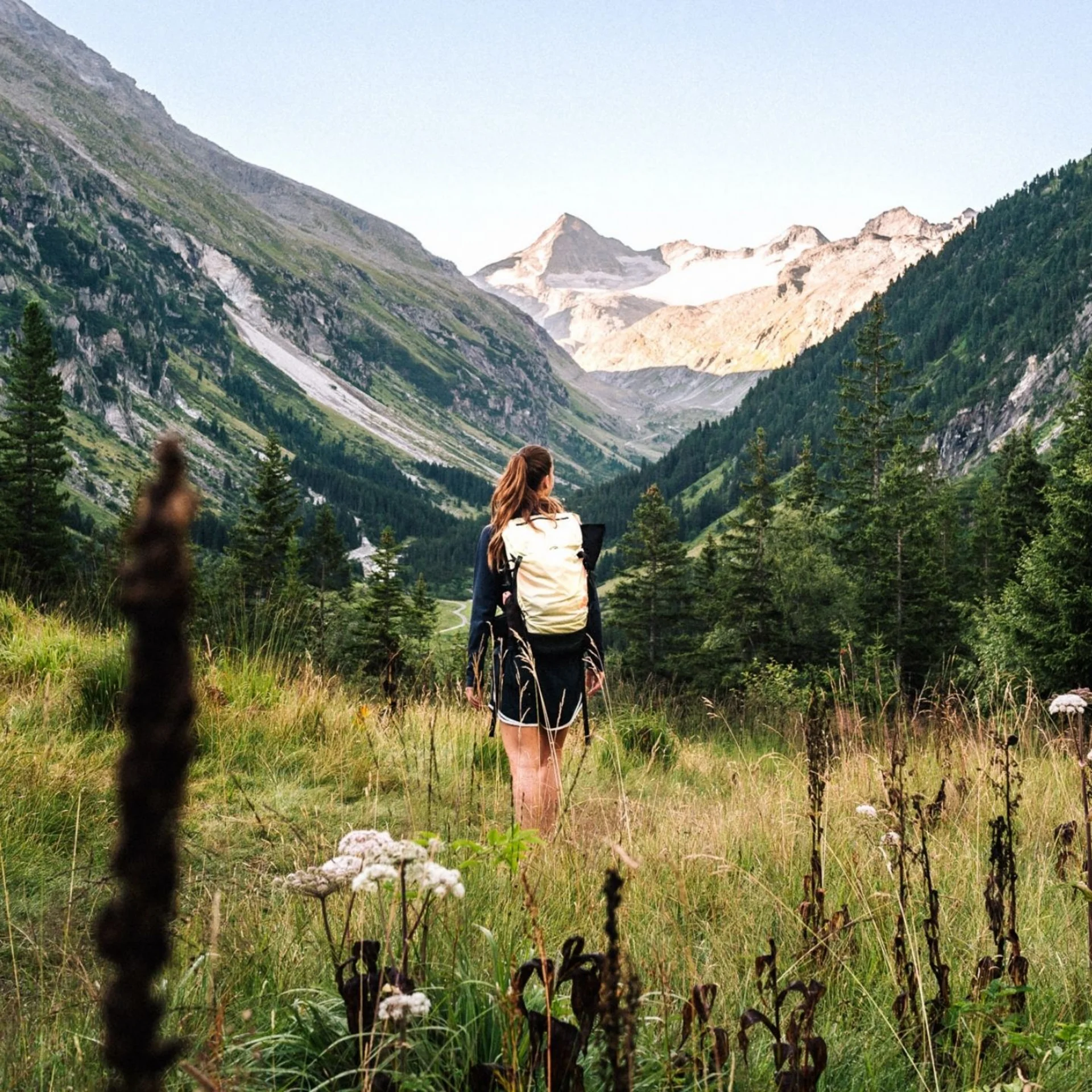 Jobs Frau mit Rucksack wandert durch grüne Berglandschaft mit blühenden Pflanzen