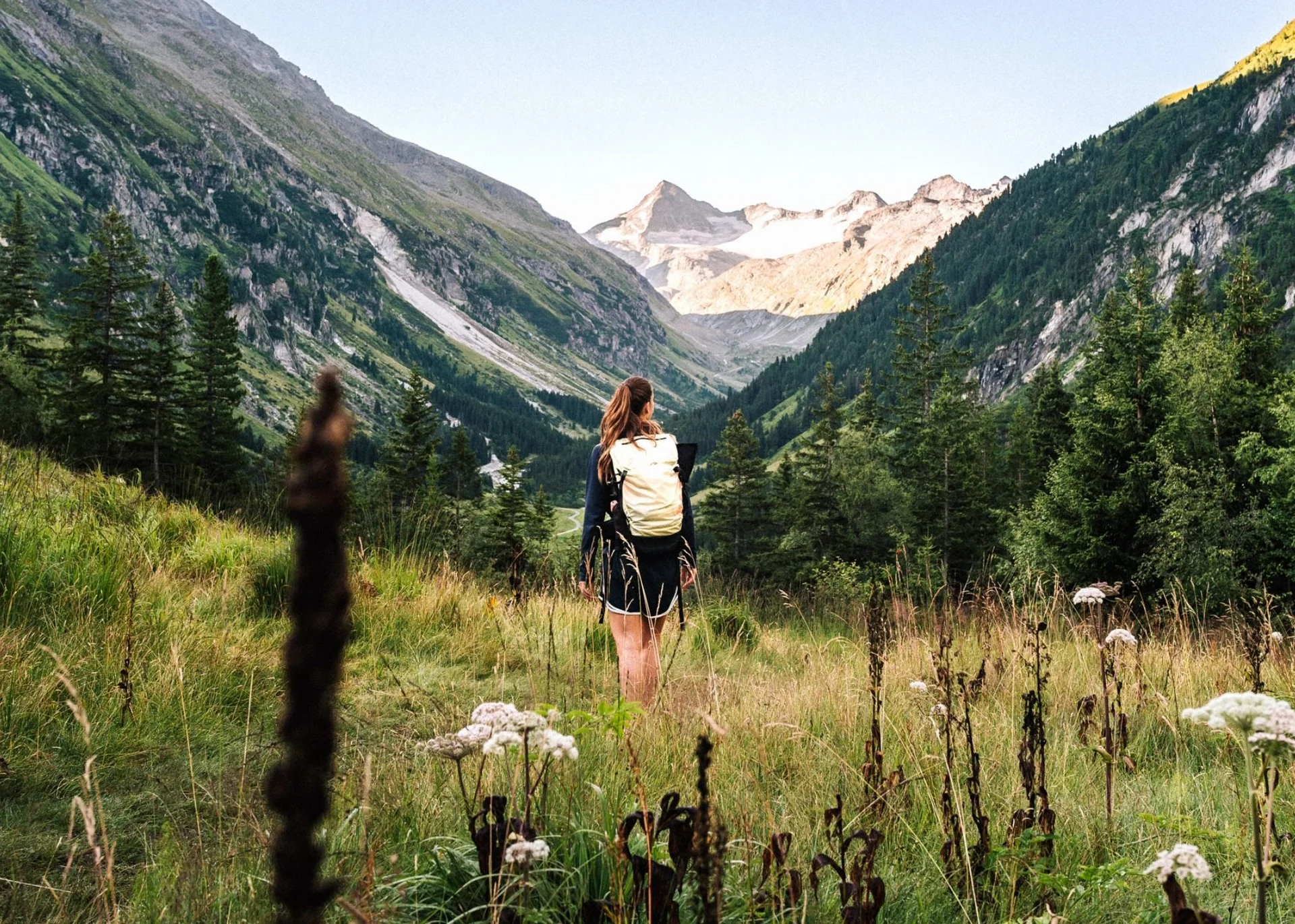 Wandern Frau mit Rucksack wandert durch grüne Berglandschaft mit blühenden Pflanzen