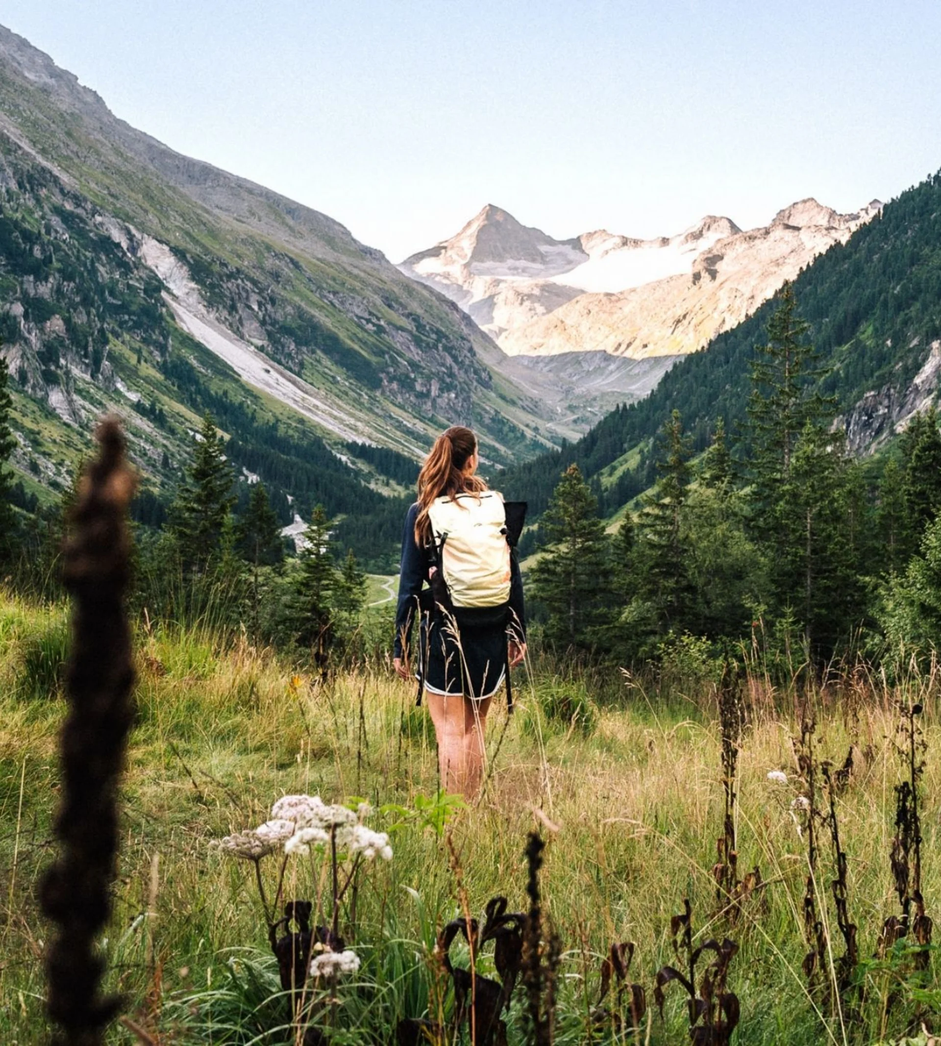Nationalpark Sommercard Frau mit Rucksack wandert durch grüne Berglandschaft mit blühenden Pflanzen