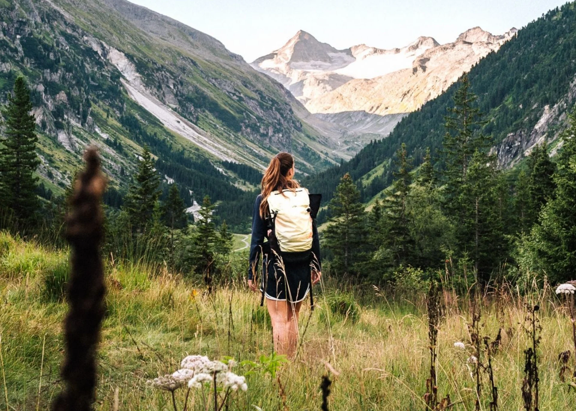 Wanderhotel Frau mit Rucksack wandert durch grüne Berglandschaft mit blühenden Pflanzen