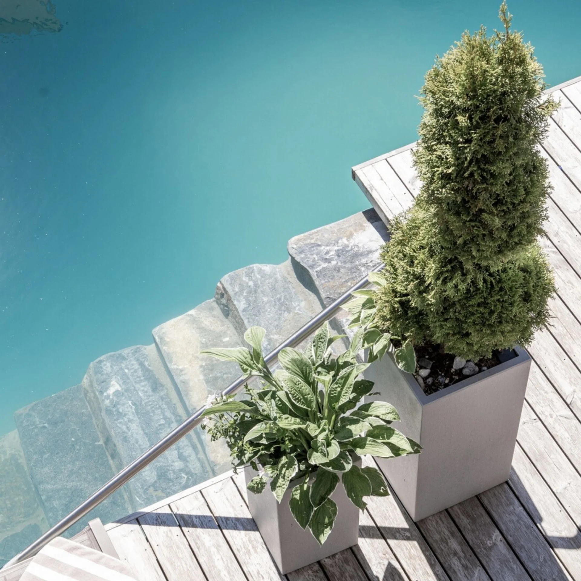 Wasserwelt Zwei Pflanzen in Töpfen auf Holzterrasse neben klar blauem Wasser mit Steintreppe