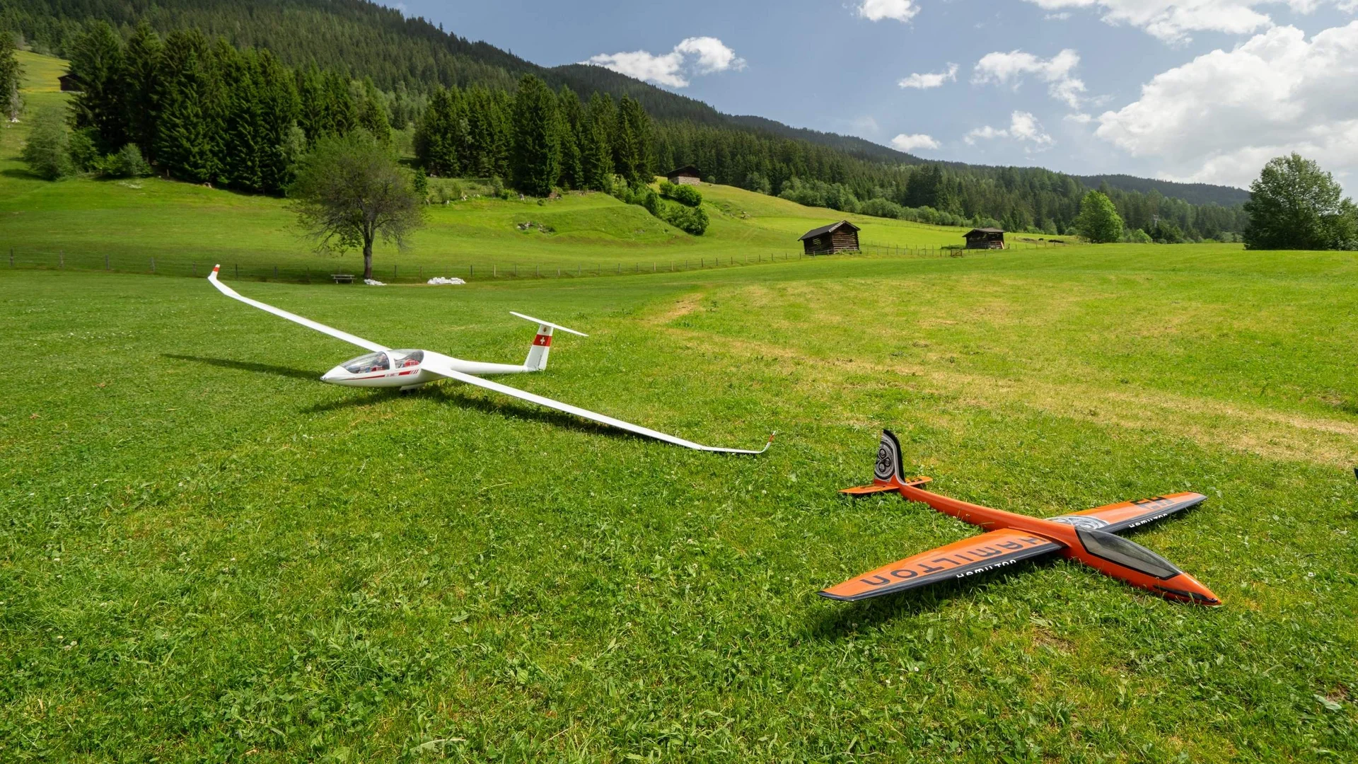 Modell- und Hangfliegen Zwei Segelflugzeuge auf einer grünen Wiese in den Bergen