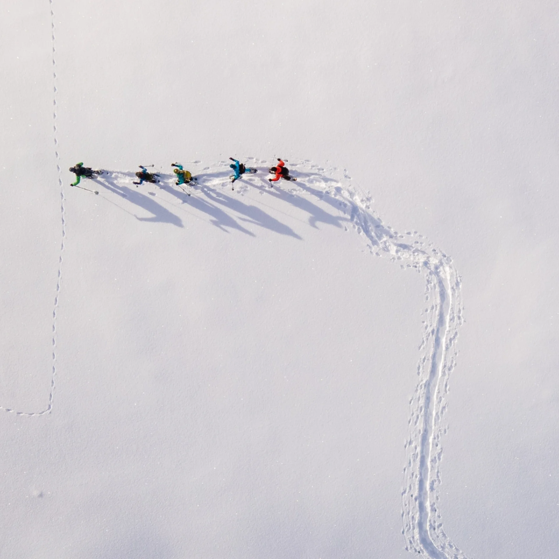 Abseits der Piste Drohnenaufnahme von fünf Menschen, die durch Tiefschnee wandern, mit langen Schatten