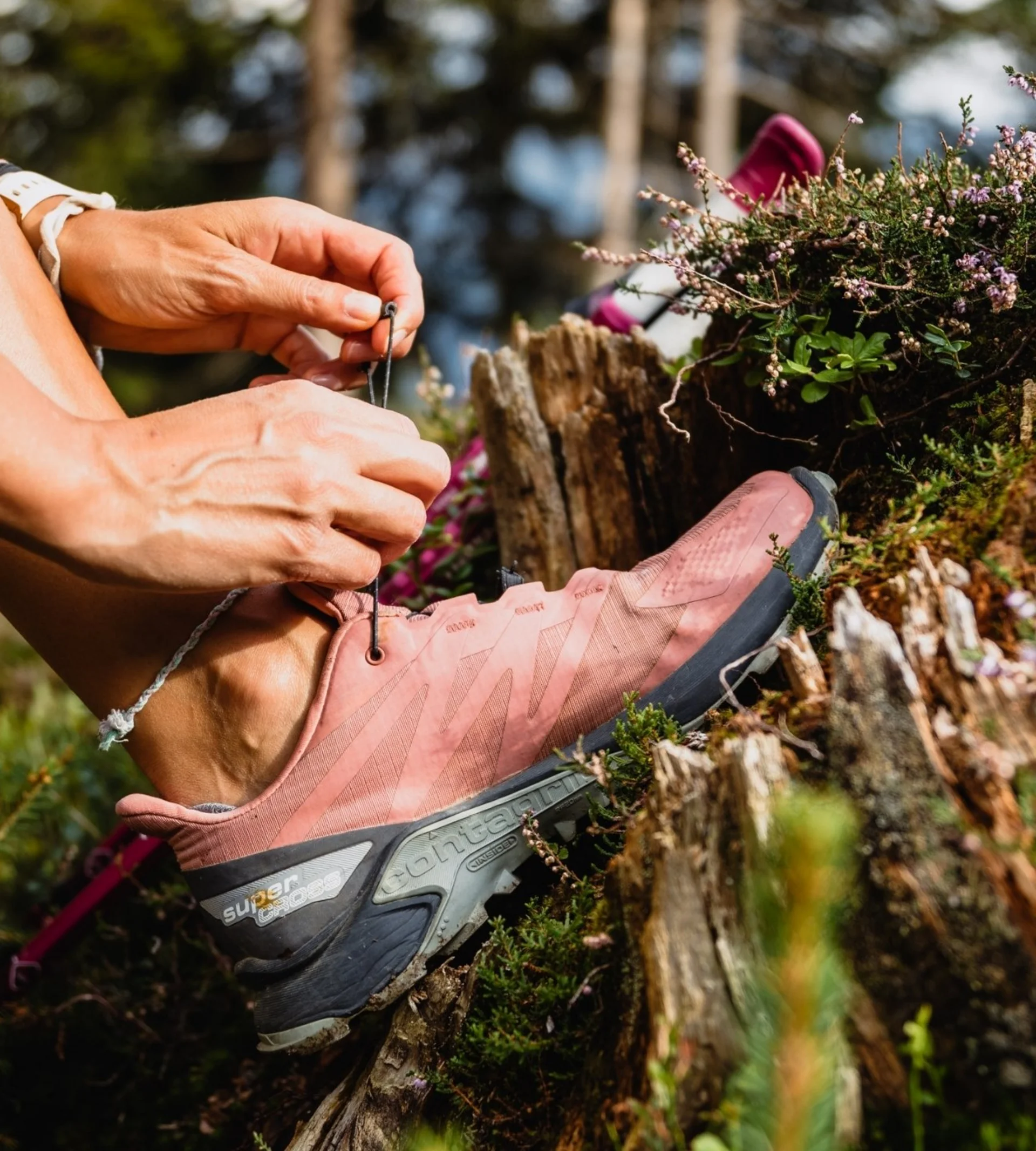 Wandern Person bindet Schnürsenkel an pinker Wanderschuh im Wald