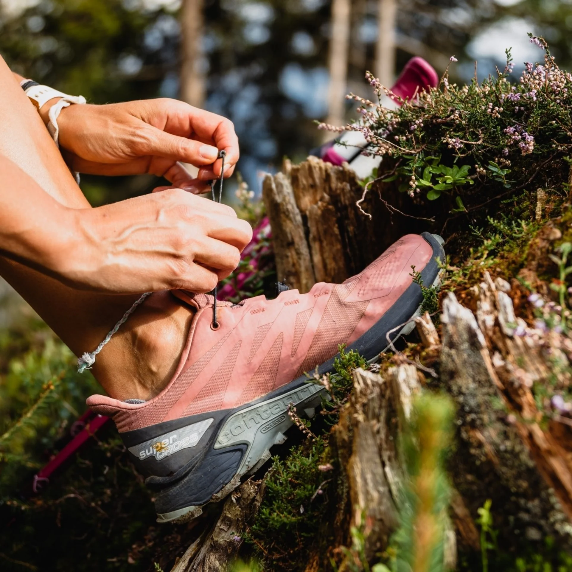 Wanderservice Person bindet Schnürsenkel an pinker Wanderschuh im Wald