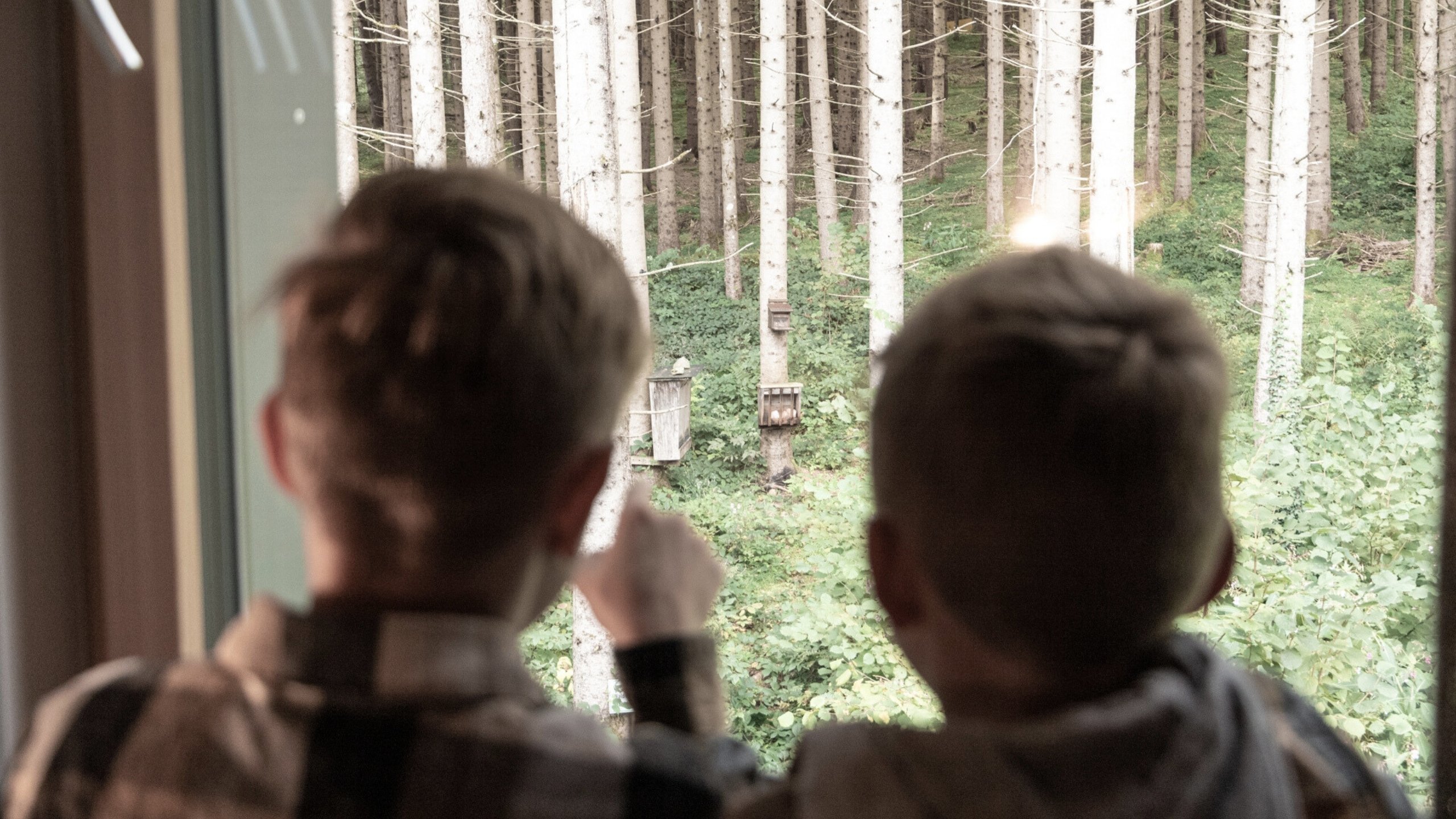 Baumhaus Zwei Kinder schauen aus dem Fenster auf Bäume mit Vogelhäusern im Wald